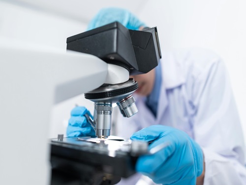 Molteplici effetti del resveratrolo in medicina